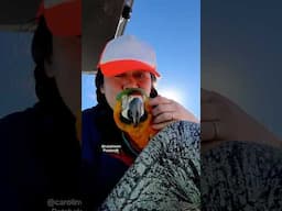 I KISS my BIRD GOODBYE AND THREW HIM into the Air to FLY FREE!