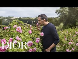 Les Récoltes Majeures: Dior’s Ode to the Timeless Beauty of the Centifolia Rose