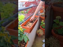 Use THIS To Make Your Potting Soil More Water Retentive