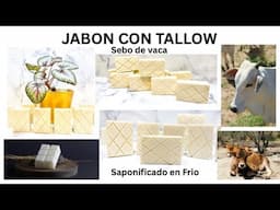 Jabon con tallow saponificado en frío / jabón con sebo de vaca
