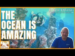 Scuba Diving’s Bright Future: 5 Reasons to Be Excited (The Best is Yet to Come!)