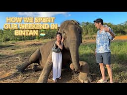 HOW YOU CAN SPEND YOUR WEEKEND IN BINTAN | NICOLE CHOO
