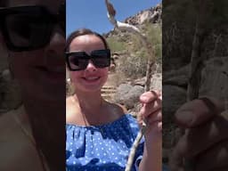 Had to be a nice video. BUT… 🤣😱🤦‍♀️ #arizona #phoenox #travel #kseniyasimonova