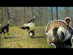 | TURKEY HUNTING DAY 1 | INSANE ACTION