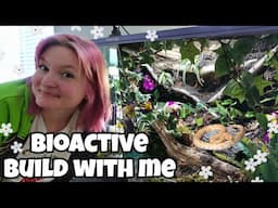 building my first bioactive vivarium🌱🐍 | ball python |
