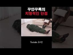 실제와 구분하기 어려움