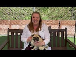 Get to know Dr. Madison VanWorth!