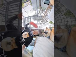 Insta360 X5: Low-Light Beast, BUT…