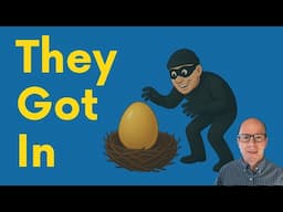 Actual Theft From Retirement Savings: Real-Life Case Studies