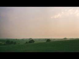 Tony Anderson - Fleurie