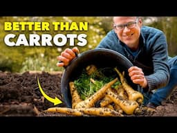 This Crop is WAY Better than Carrots  (The Forgotten Veggie)