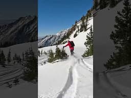 First backcountry ride in Snowbird #snowboarding @clewsnowboarding @outdoormasterUS