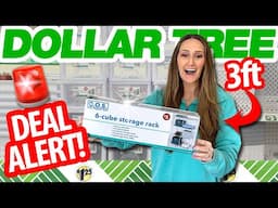 🏃🏻‍♀️ *RUN* to Dollar Tree for this HUGE SHELF! BRILLIANT & NEW organization HACKS!