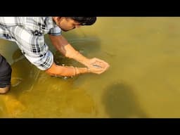 I Accidentally Found Fish in River | Hand fishing