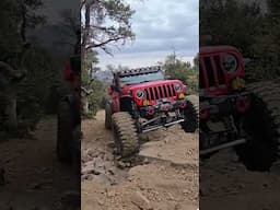 Rock Crawling Gladiator on 43s Trepadors