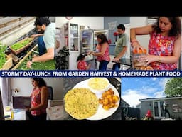 No Rush Morning To Evening Routine - 1st Veg Harvest, Satisfying Brunch, Organization, & Plant Food