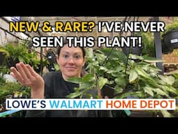 New Rare Plant at Lowes? Never Seen It Before! Home Depot Walmart Lowes Finds Big Box Plant Shopping
