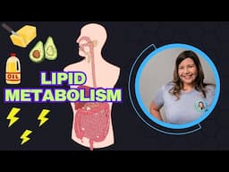Lipid Metabolism: How Your Body Breaks Down Fat for Energy