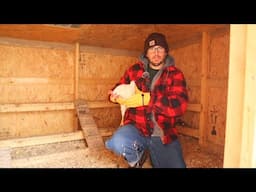 Stop Buying Chickens
