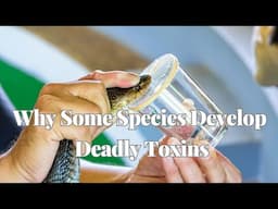 The Evolution of Venom in Animals Why Some Species Develop Deadly Toxins