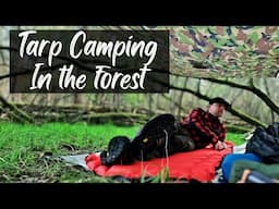 Tarp Camping in the Forest | Tomshoo Poncho Shelter | Campfire Steaks