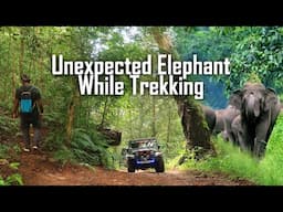 We Found Elephant Unexpectedly on our Forest Trekking | Palkulamedu, Kerala Ep 3