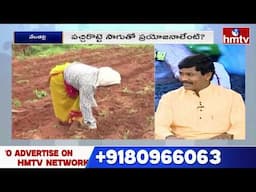 Farming : దేశీ విత్తనాలు.. ఆరోగ్యకర పంటలు.. అధిక లాభాలు! | hmtv Agri