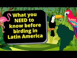 5 Things You NEED TO KNOW Before Birdwatching In Latin America