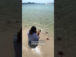 Starfish Beach in Vietnam 🇻🇳 | Visa-Free Paradise for Indians #tripotocommunity