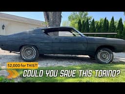 Top 11 Classic Cars For Sale Under $3,000!