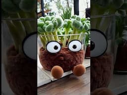 When you put the wrong mushrooms in your coffee