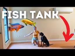 Setting up my LIVING ROOM for AQUARIUMS!!