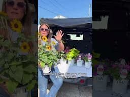 Nikki's Royale Plant Haul Part 1