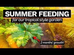 How I Feed My Tropical Garden Plants - My Complete UK Guide