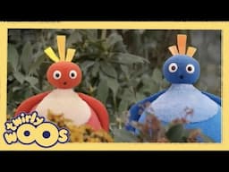 Kırmızı ve Mavi: Çift Bölüm | Twirlywoos Türkçe | Çocuklar için Videolar