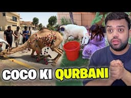 Coco Ki Qurbani 💔 | Shippu Ko Azadi Mil Gayi 😢 | An Emotional Decision ❤️