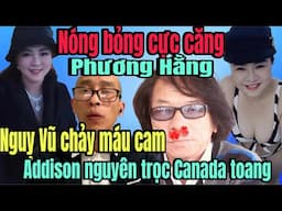 Nóng bỏng cực sốt cực căng Phương Hằng | Nguỵ Vũ bất ngờ “chảy máu cam”Addison Nguyên rất căng