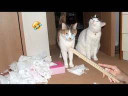 You Laugh You Lose😋😻New Funniest Dogs and Cats 2025😹🐕 #1