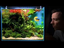 Making a Betta Aquarium From ''Leftovers'' (Aquascape Tutorial)