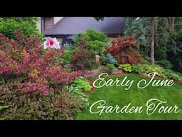 Early June Garden Tour, Minnesota Zone 4b/5a 🌺🌸🌱