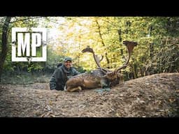 The Roar - Fallow Deer Hunt in Slovakia | Mark V. Peterson Hunting