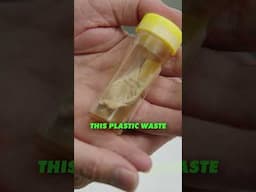 The Mould That Can 'Eat' Plastic