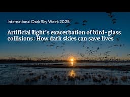 Artificial light’s exacerbation of bird-glass collisions: How dark skies can save lives