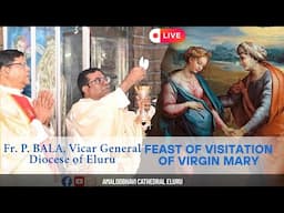 Feast of  visitation of the blessed Virgin Mary |Fr.Bala ,V. G Eluru Diocese | Amalodbhavi cathedral
