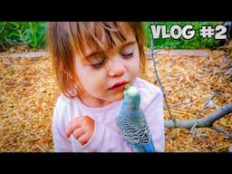 Budgie Biting Behavior: It's Wild, Even for Kids!