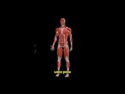 Reverse Insulin Resistance (Diabetes) WITHOUT Medicine or Supplements