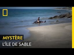 Qu'est-il arrivé aux phoques de l'île de sable ?