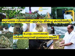 കുറഞ്ഞ വില മികച്ച ഗുണം , സൈലേജ് കാലിത്തീറ്റ നിർമ്മാണം Cornext Baled Silage Kerala