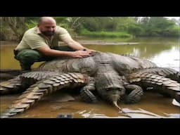 BIZARRE Amazon Creatures That Defy Imagination!