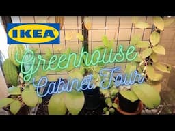Houseplant Tour | Ikea Milsbo Cabinet #1